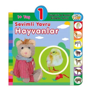 Yaş Sevimli Yru Hayvanlar (1+Yaş)
