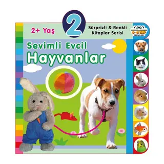 Yaş Sevimli Evcil Hayvanlar (2+Yaş)