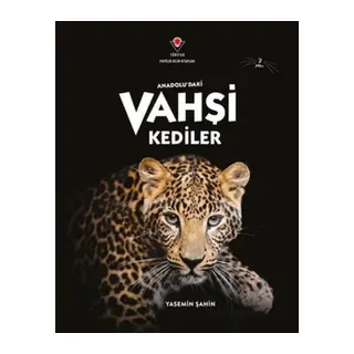 Anadolu'Daki Vahşi Kediler