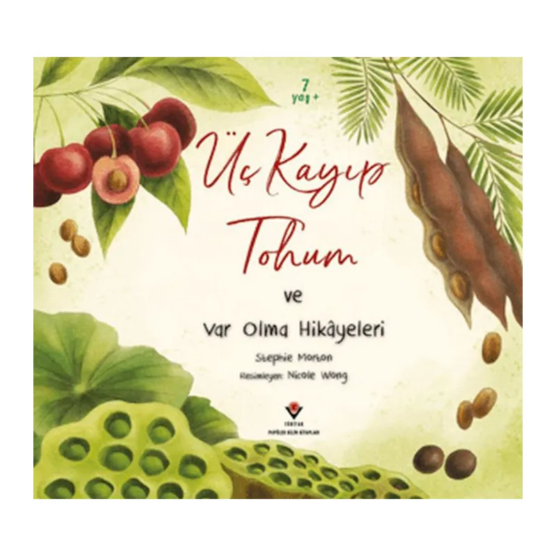 Üç Kayıp ve Var Olma Hikayeleri
