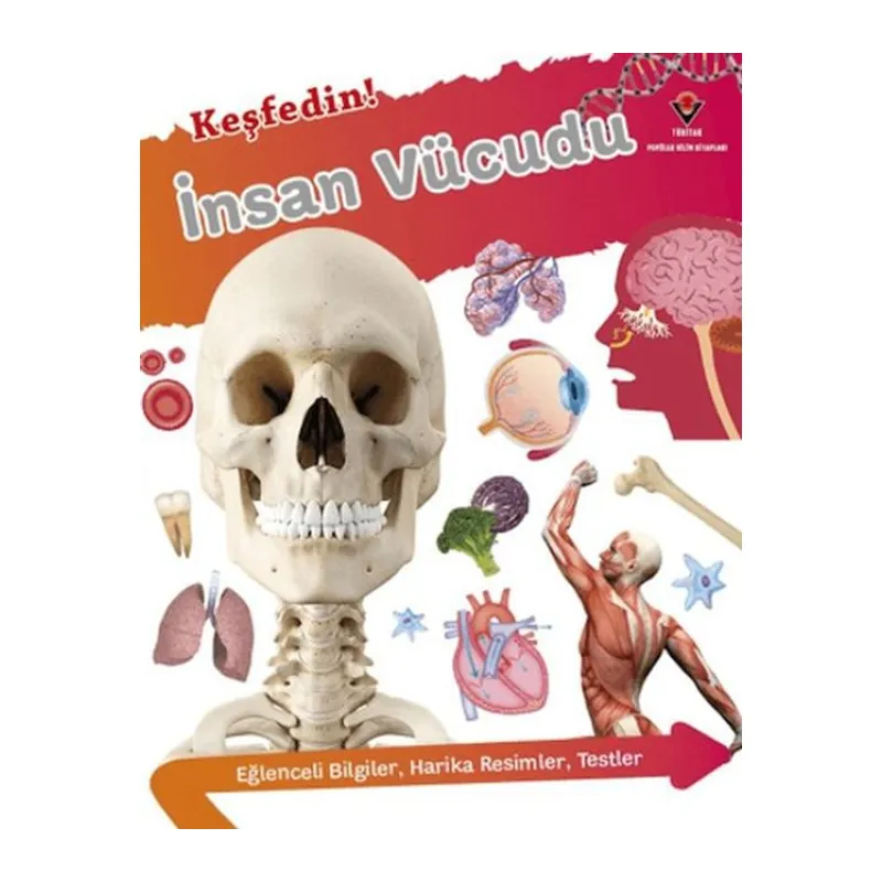 Keşfedin! İnsan Vücüdu