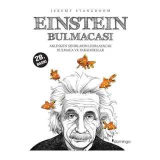 Einstein Bulmacası Aklınızın Sınırlarını Zorlayacak Bulmaca ve Paradokslar