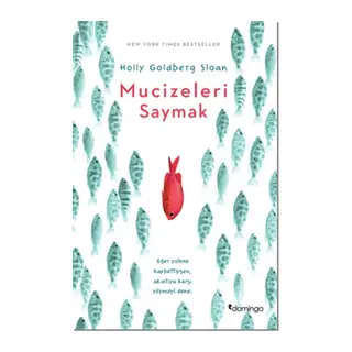 Mucizeleri Saymak