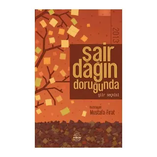 Şair Dağın Doruğunda 2013