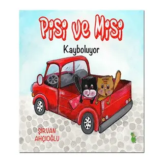 Pisi ve Misi Kayboluyor