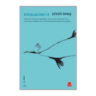 Bütün Şiirleri 2