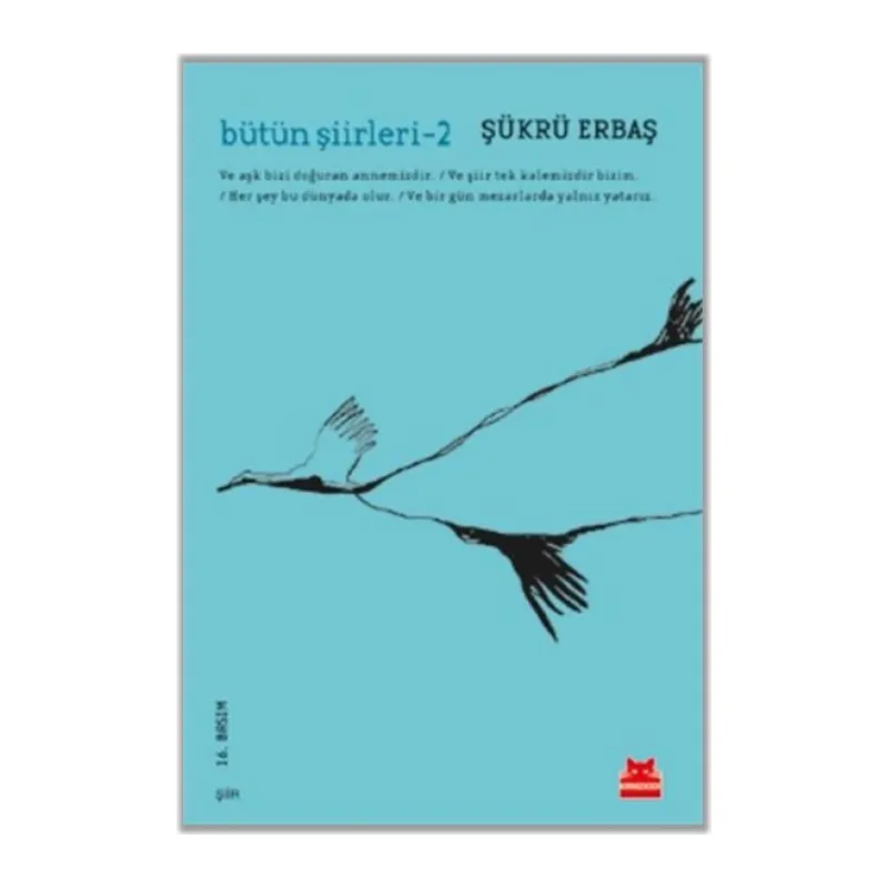 Bütün Şiirleri 2