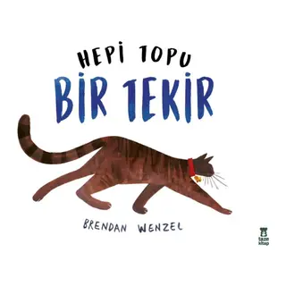 Hepi Topu Bir Tekir