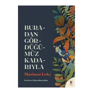 Buradan Gördüğümüz Kadarıyla