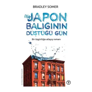 Bir Jn Balığının Düştüğü Gün