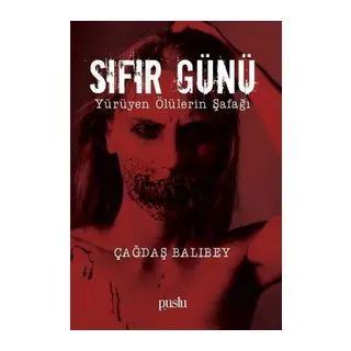 Sıfır Günü