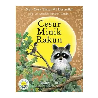 Cesur Minik Rakun