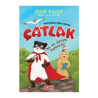Bu Ne Dünya Kardeşim! - Çatlak - Patilerin Gücü Adına