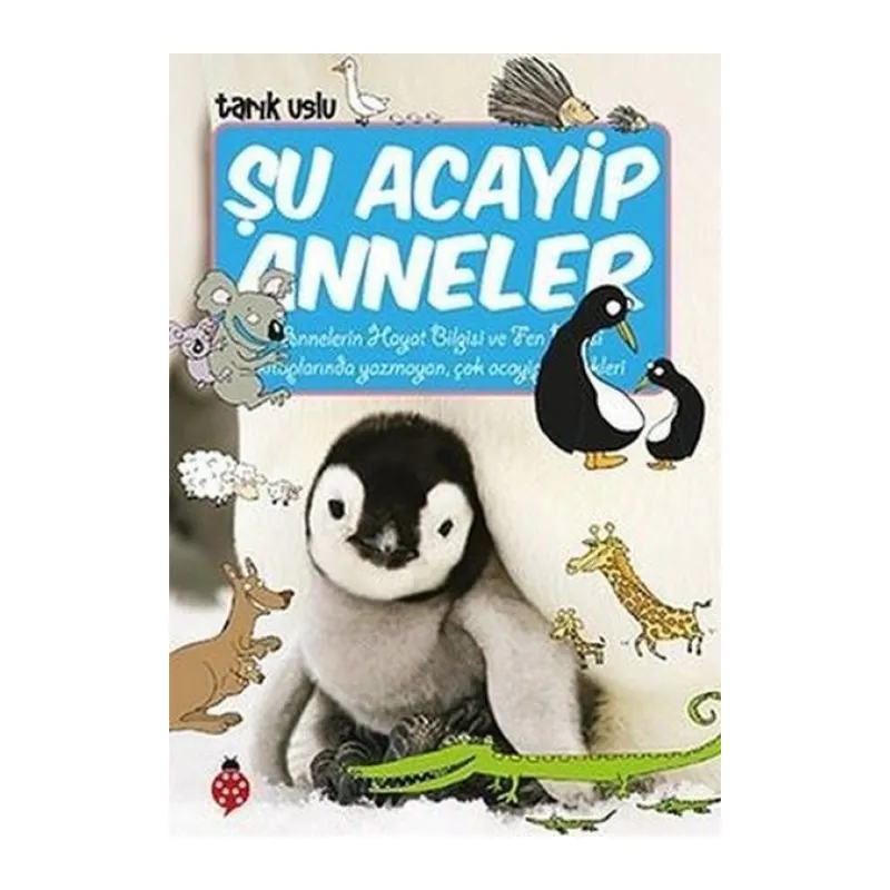 Şu Acayip Anneler