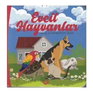 Evcil Hayvanlar - uç İçi larım Dizisi