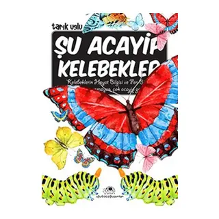 Şu Acayip Kelebekler