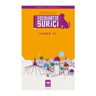 Edebiyatın Suriçi