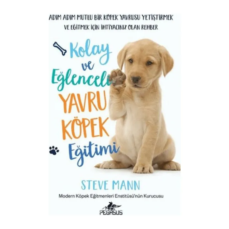 Kolay ve Eğlenceli Yru Köpek Eğitimi