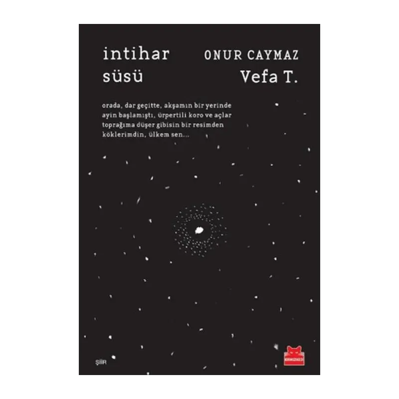 İntihar Süsü