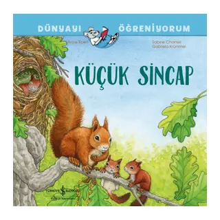 Küçük Sincap Dünyayı Öğreniyorum