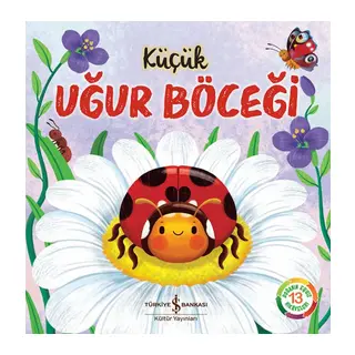 Küçük Uğur Böceği - Doğanın Eşsiz Hikayeleri 13