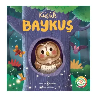 Küçük Baykuş - Doğanın Eşsiz Hikayeleri 12