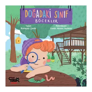 Doğadaki Sınıf- Böcekler