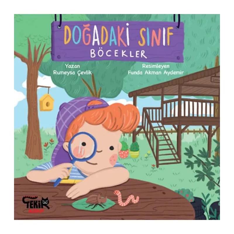 Doğadaki Sınıf- Böcekler