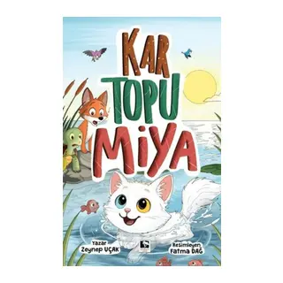 Kar Topu Miya