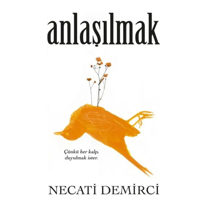 Anlaşılmak
