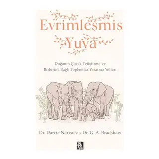 Evrimleşmiş Yuva