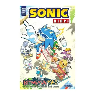 Kirpi Sonic: Bitmeyen Yaz