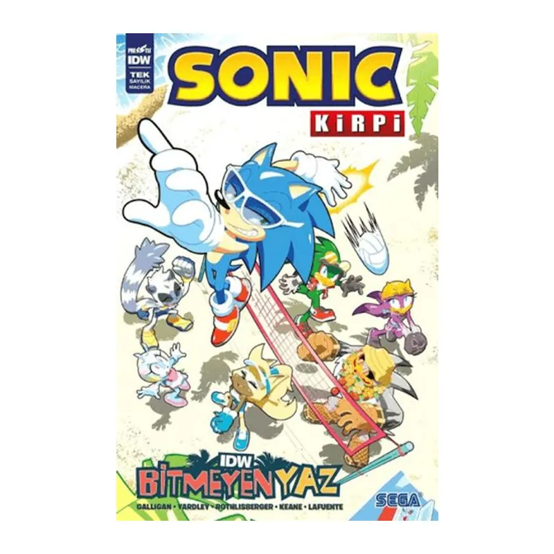 Kirpi Sonic: Bitmeyen Yaz