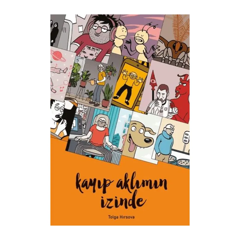 Kayıp Aklımın İzinde