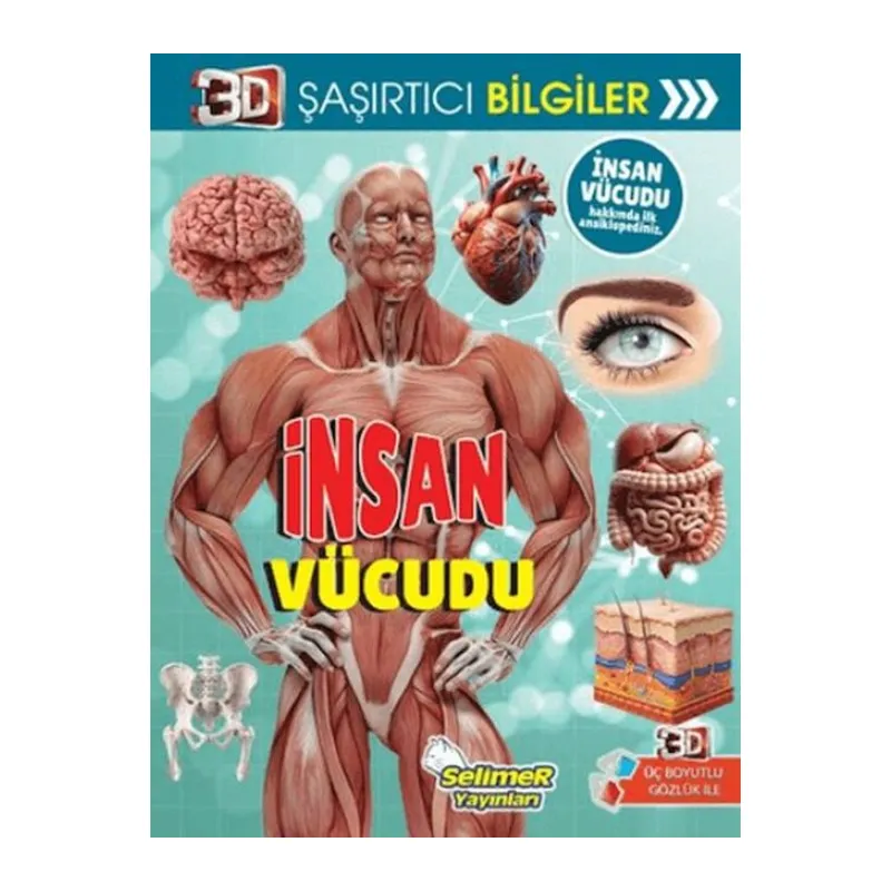 3D Şaşırtıcı Biiler - İnsan Vücudu