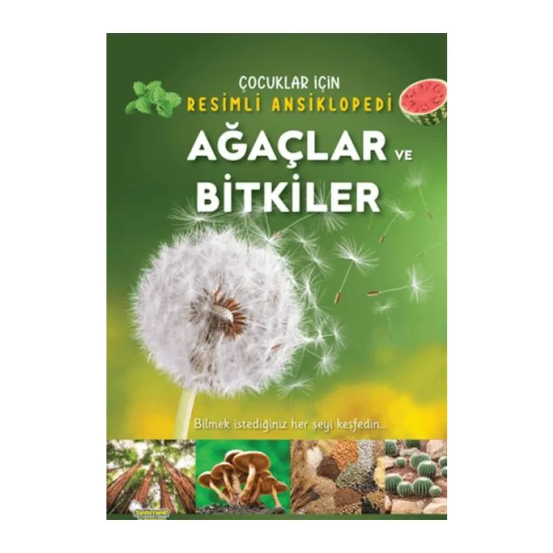 Ağaçlar ve ler
