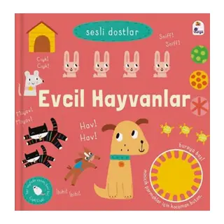 Sesli Dostlar - Evcil Hayvanlar (Sesli)