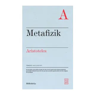 Metafizik