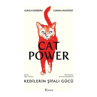 Kedilerin Şifalı Gücü