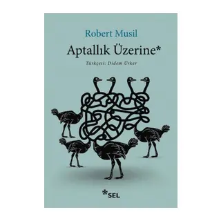 Aptallık Üzerine
