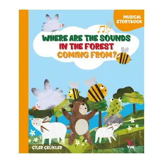 Where Are The Sounds In The Forest Coming From?