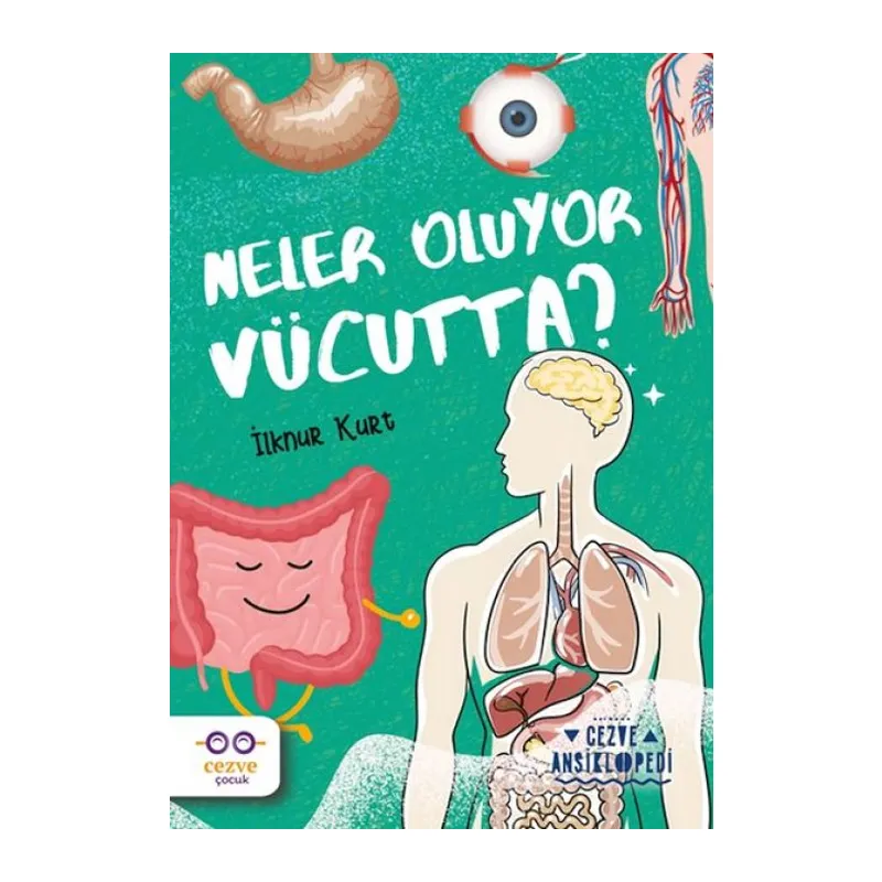 Neler Oluyor Vücutta? – Cezve Ansiklopedi