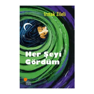 Her Şeyi Gördüm