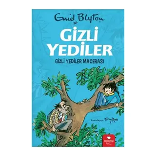 Gizli Yediler - Gizli Yediler Macerası