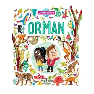 Orman - Çevremizdeki Dünya