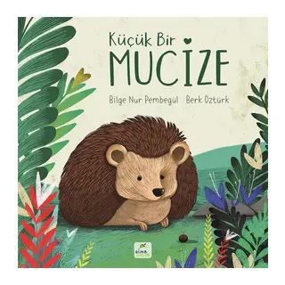 Küçük Bir Mucize