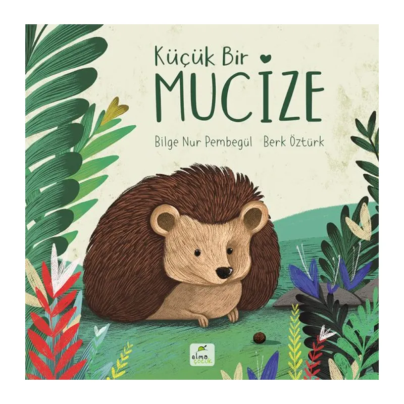 Küçük Bir Mucize