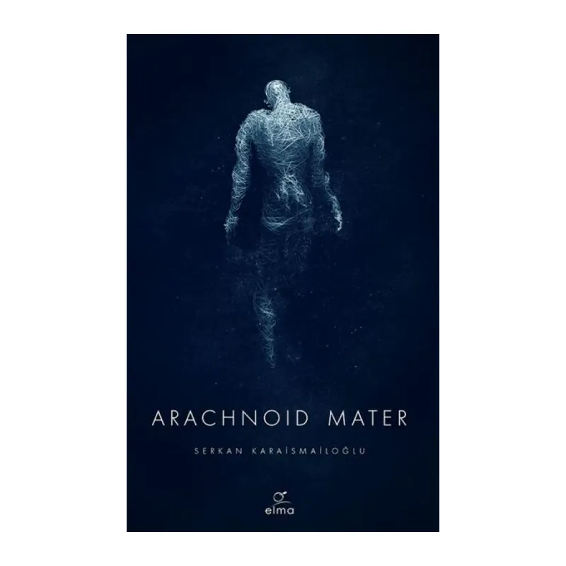 Arachnoid Mater 2.
