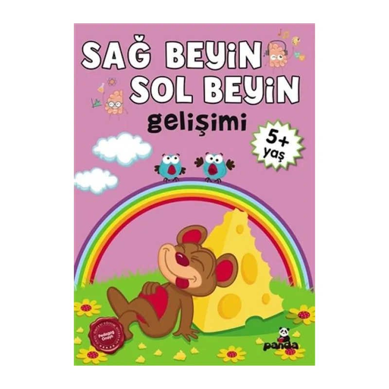 5 Yaş Sağ Beyin-Sol Beyin Gelişimi