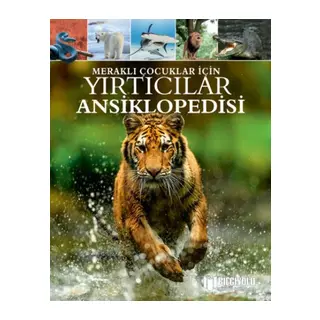 Meraklı Çuklar İçin Yırtıcılar Ansiklopedisi